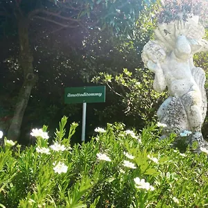 il-motto-di-tommy.it-lombardy.com/