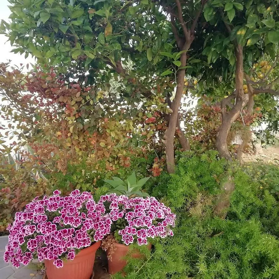 Home Scala Dei Turchi B&B Realmonte Bed and breakfast